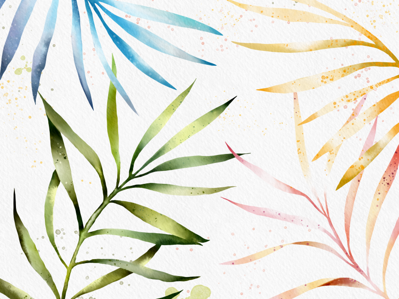 Free Brushes sample of Botanical Illustration Toolkit for Procreate app